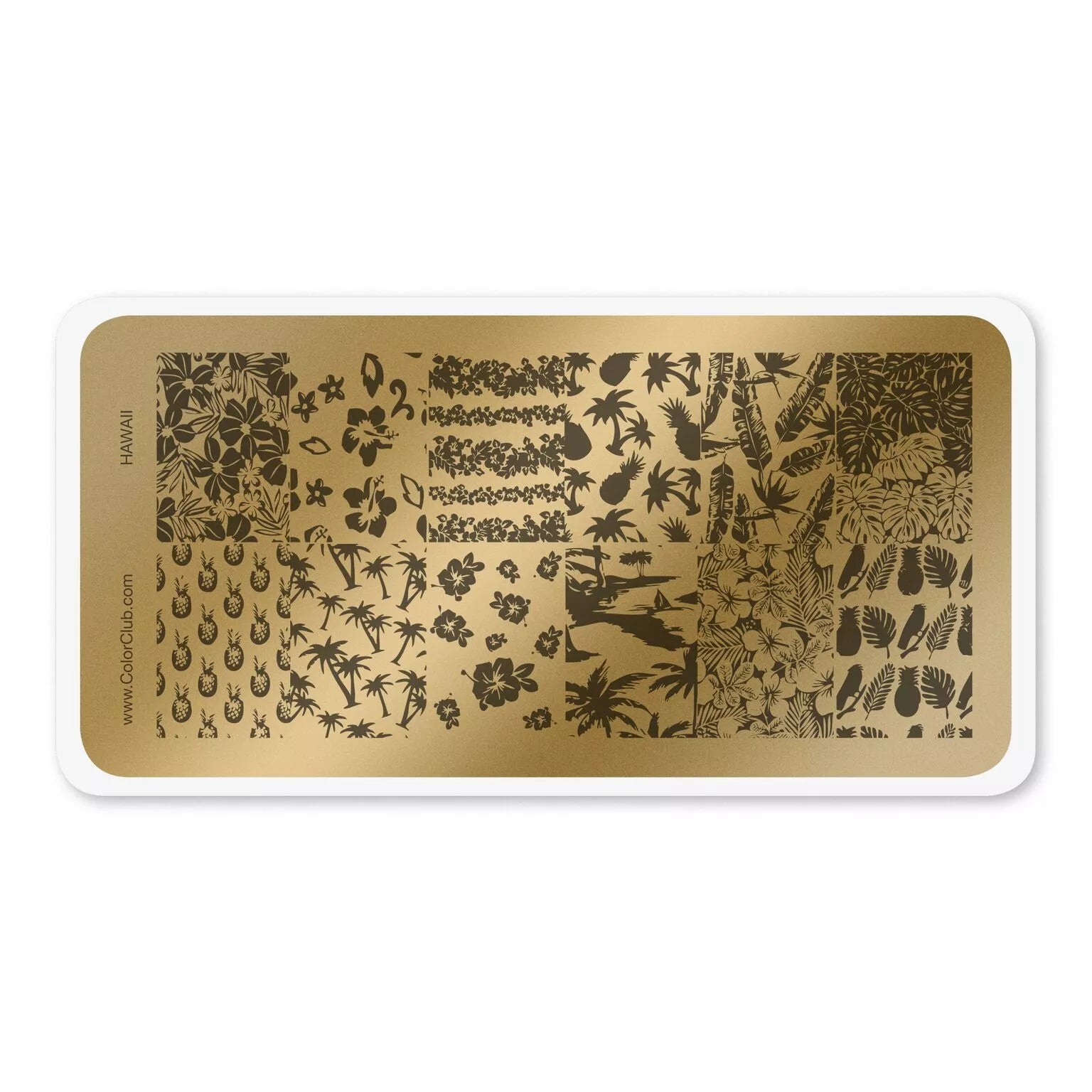 Color Club Nail Art Stamping Plate - Hawaii
