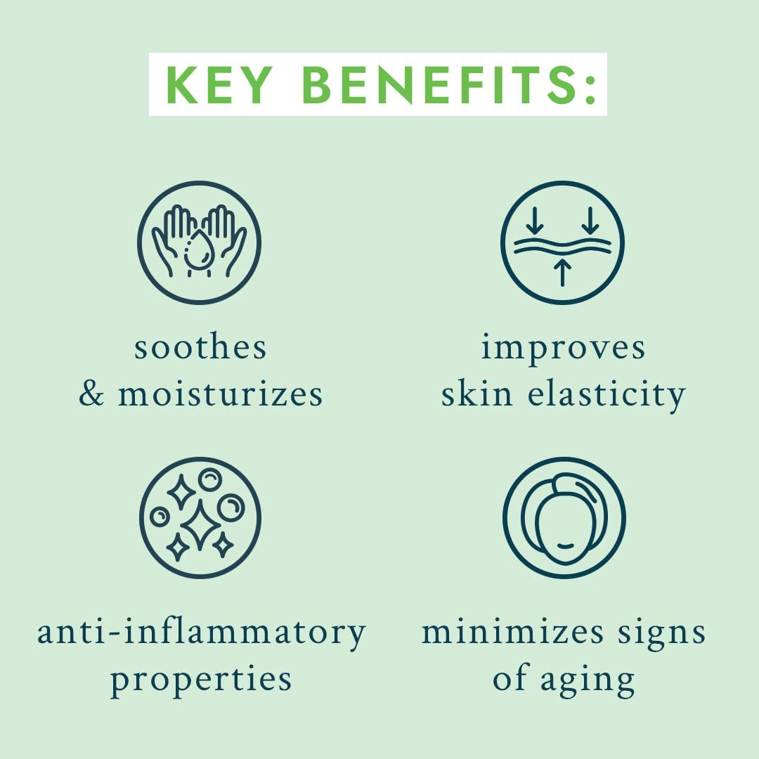 Voesh Velvet Luxe Vegan Body & Hand Cream Lotion Green Tea Supple 8.5 oz