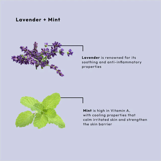 BCL SPA Lavender Mint 4 in 1 Pedicure Set