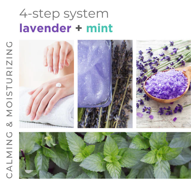 BCL SPA Lavender Mint Sugar Scrub 128 oz